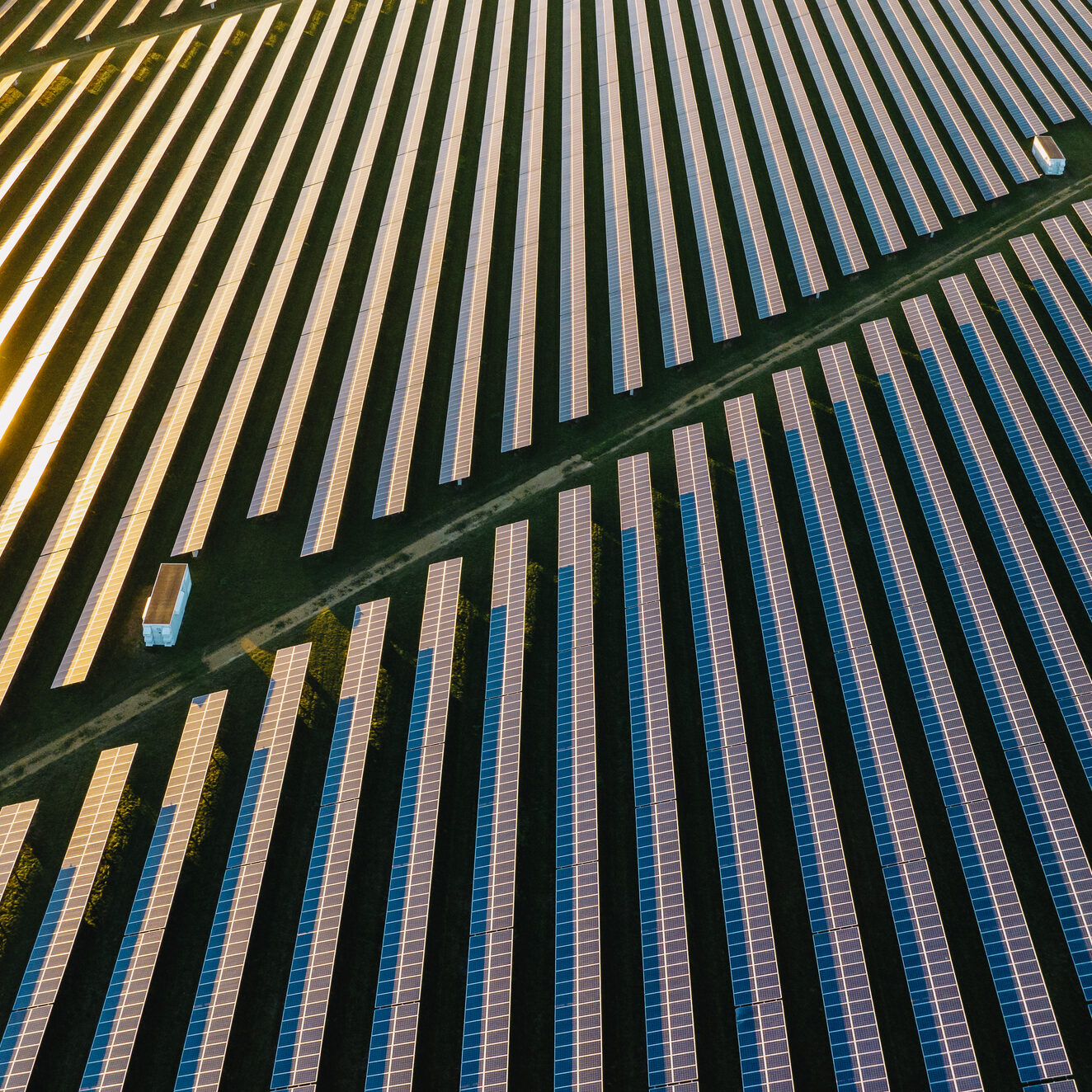 A vast array of solar panels picks up the colourful reflection of the sun close to sunset