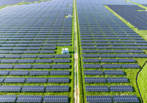 Solar panels in tea garden