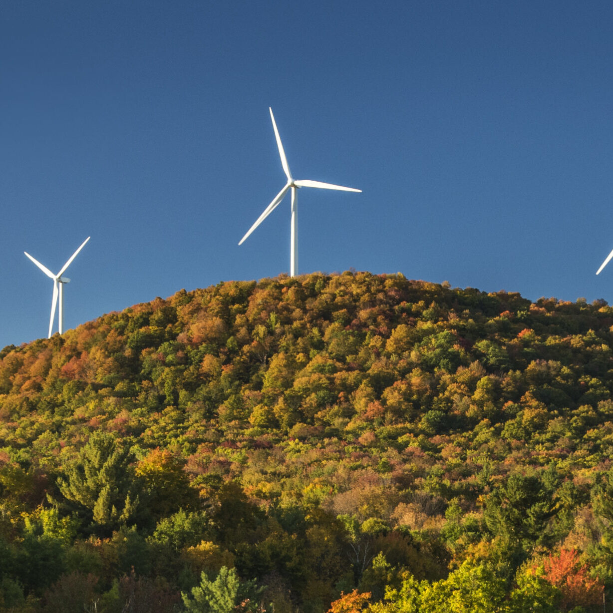 Greenbacker wind energy investment